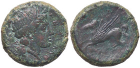 GRECHE - SICILIA - Entella - AE 20 (AE g. 9,06)
BB