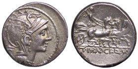 ROMANE REPUBBLICANE - MALLIA - T. Mallius Mancinus, ap. Claudius Pulcher e Q. Urbinus (110-110 a.C.) - Denario B. 2; Cr. 299/1b (AG g. 3,85)
qSPL