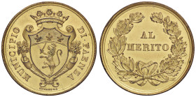 MEDAGLIE - CITTA' - Faenza - Medaglia Al Merito MD Ø 38Colpetto
 Colpetto - 
qFDC