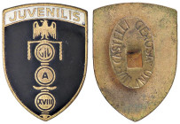 MEDAGLIE - FASCISTE - Distintivo A. XVIII - GIL, Juvenilis AE Opus: Castelli
SPL