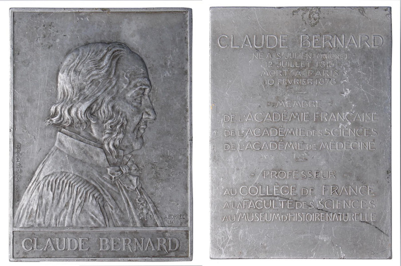 MEDAGLIE ESTERE - FRANCIA - Terza Repubblica (1870-1940) - Placchetta 1913 - Cla...
