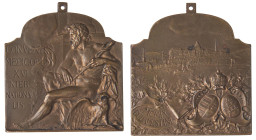 MEDAGLIE ESTERE - UNGHERIA - Francesco Giuseppe (1848-1916) - Medaglia 1909 - Convegno Medico AE mm 39x40
 mm 39x40 - 
SPL