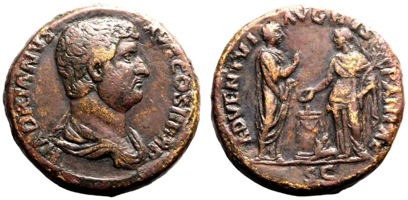 ROMAN EMPIRE. Hadrian. 
Bronze Sestertius, AD 130-133. Rome. 
Obv: HADRIANVS A...