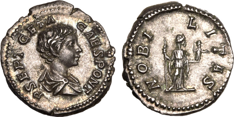 ROMAN EMPIRE. Geta (Caesar). 
Silver Denarius, AD 200-202. Rome. 
Obv: P SEPT ...