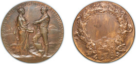 Sweden Kingdom 1929 Agricultural medal - Skaraborgs läns kungliga hushålningssälskap Bronze 57.85g UNC