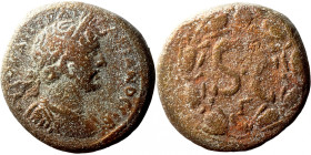 Hadrian. (117-138 AD). Æ Bronze. Syria. Antioch. Obv: laureate bust of Hadrian right. Rev: SC in laurel-wreath. 
19mm 5,67g