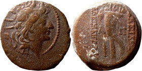 Seleucis Kingdom Greek Coin 1-4 BC Century
21mm 8,43g