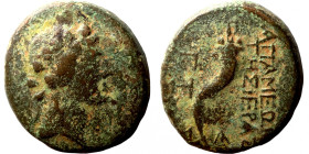 Seleucis Kingdom Greek Coin 1-4 BC Century
20mm 8,06g