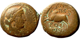 Seleucis Kingdom Greek Coin 1-4 BC Century
19mm 7,78g