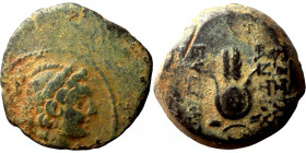 Seleucis Kingdom Greek Coin 1-4 BC Century
18mm 5,43g