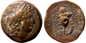 Seleukid Kingdom. Tryphon 142-138 BC. 
18mm 6,34g