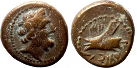 Seleucis Kingdom Greek Coin 1-4 BC Century
16mm 3,58g