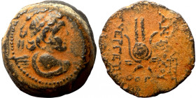 Seleucis Kingdom Greek Coin 1-4 BC Century
18mm 7,28g
Artificial sand patina