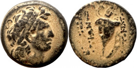 Seleukid Kingdom. Tryphon 142-138 BC. 
17mm 5,43g
Artificial sand patina