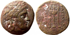 SELEUKID KINGS of SYRIA. Seleukos I Nikator, 312-281 BC. Ae (bronze, 3.35 g, 15 mm), Antioch. Laureate head of Apollo to right. Rev. ΒΑΣΙΛΕΩΣ ΣΕΛΕΥΚΟΥ...
