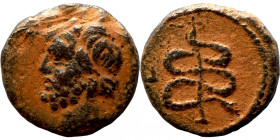 Seleucis Kingdom Greek Coin 1-4 BC Century
14mm 2,49g
Artificial sand patina