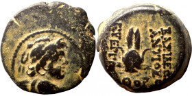 Seleucis Kingdom Greek Coin 1-4 BC Century
19mm 6,67g