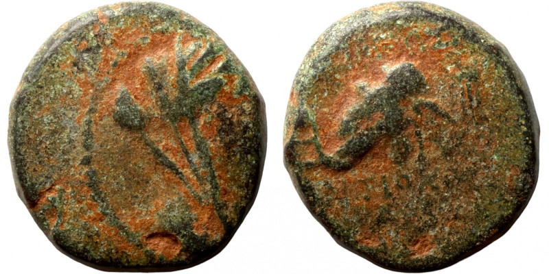 Greek coin 1-4 Century 
15mm 4,24g