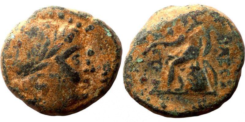 Greek coin 1-4 Century 
14mm 3,23g