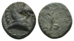 Asia Minor. Pontos. (1st Century BC) Æ Bronze. Obv: head of horse right. Rev: palm branch. Weight 1,55 gr - Diameter 9 mm