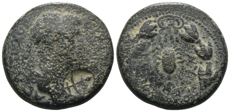 Commagene. Iotape. (38-72 AD) Æ Bronze. Obv: diademed bust right. Rev: scorpion ...