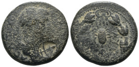 Commagene. Iotape. (38-72 AD) Æ Bronze. Obv: diademed bust right. Rev: scorpion in wreath. Weight 15,48 gr - Diameter 25 mm