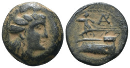Phoenicia, Arados AE. 176-116 B.C. artificial sandpatina. Weight 3,79 gr - Diameter 15 mm