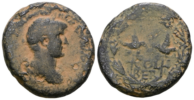 Hadrian AE. . Artificial sandpatina.Weight 12,54 gr - Diameter 23 mm