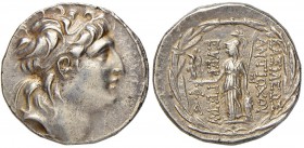 REGNO DI SIRIA Antioco VII (138-129 a.C.) Tetradramma – Busto diademato a d. - R/ Atena stante a s. – Sear 7091 AG (g 16,98) 
BB+