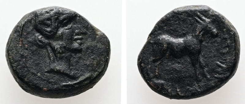 Sicily, Eryx?. Circa 4th-3rd century BC. AE. 3.80 g. - 15.71 mm.
Obv.: Female he...