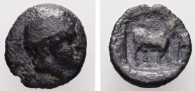 Thrace, Ainos. AR, Diobol. 0.99 g. - 12.40 mm. Circa 429-427/6 BC.
Obv.: Head of Hermes right, wearing petasos.
Rev.: [AIN]. Goat standing right.
Ref....