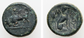 Thrace, Madytos. AE. 2.31 g. - 12.29 mm. Circa 350 BC.
Obv.: Bull butting left; above, grape bunch, dotted border.
Rev.: Μ-ΑΔΥ; Hound seated right; gr...