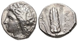 Lucania, Metapontion. AR, Didrachm or Nomos. 7.83 g. - 20 mm. Circa 330-290 BC. Da-, magistrate.
Obv.: Wreathed head of Demeter to left, wearing trip...