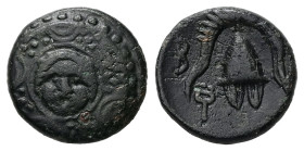 Kings of Macedon. Philip III Arrhidaios, 323-317 BC. AE. 3.37 g. - 15.46 mm. Salamis.
Obv.: Macedonian shield, with facing gorgoneion on boss.
Rev.: B...