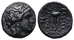 Seleukid Kingdom. Antiochos II Theos, 261-246 BC. AE. 3.25 g. - 16.47 mm. Sardes.
Obv.: Laureate head of Apollo right.
Rev.: BAΣΙΛΕΩΣ / ANTIOXOY. Trip...