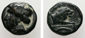 Asia Minor. Uncertain mint. ca. 4th-3rd centuries BC. AE. 1.19 g. - 10.53 mm.
Obv.: Laureate head of Apollo left.
Rev.: Forepart of lion right; below,...