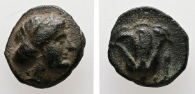 Caria, Rhodes. AE. 1.08 g. - 10.93 mm. ca. 404-385 BC 
Obv.: Head of the nymph Rhodos right.
Rev.: P - O. Rose with bud to left and right.
Ref.: BMC 3...