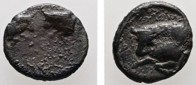 Caria, Uncertain. AR, Hemiobol. 0.35 g. - 7.64 mm. 5th century BC.
Obv.: Confronted foreparts of two bulls.
Rev.: Forepart of bull left.
Ref.: SNG Kay...