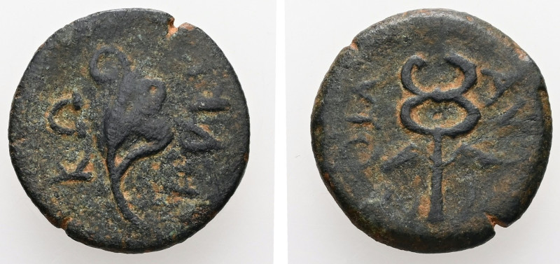 Cilicia, Korykos. AE. 3.33 g. - 18.53 mm. ca.1st century BC.
Obv.: KOPYKI. Aphla...