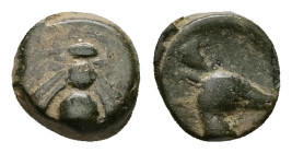 Ionia, Ephesos. AE. 0.60 g. - 8.52 mm. ca. 405-390 BC.
Obv.: Bee
Rev.: Head of stag right.
Ref.: SNG Kayhan 147-88; SNG München 34
Fine.