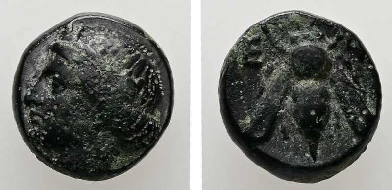 Ionia, Ephesos. AE. 1.38 g. - 9.87 mm. ca. 375-325 BC.
Obv.: Female head left, w...