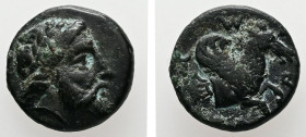Mysia, Adramytion. Orontes, Satrap of Mysia, circa 357-352 BC. AE, 1.58 g. - 12.00 mm.
Obv.: Laureate head of Zeus to right.
Rev.: [ΑΔΡ]ΑΜΥ. Forepart ...
