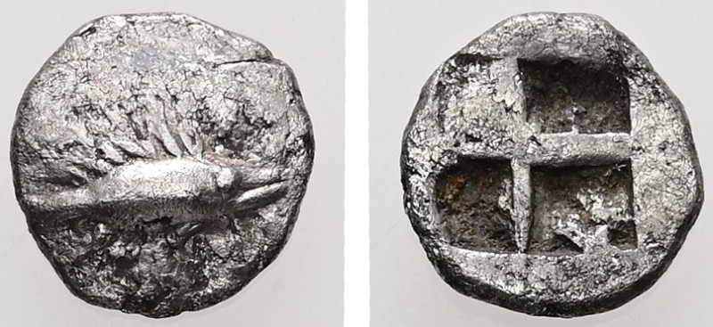 Mysia, Kyzikos. AR Hemiobol. 0.42 g. - 8.31 mm. c. 550-480 BC.
Obv.: Tunny fish ...