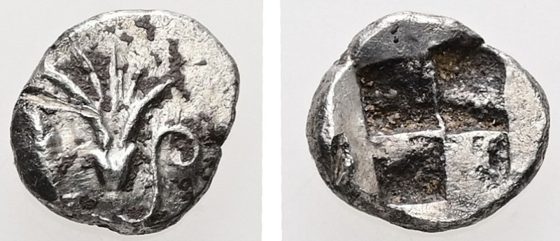 Mysia, Kyzikos. AR Hemiobol. 0.43 g. - 8.19 mm. c. 550-500 BC.
Obv.: Tunny swimm...