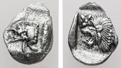 Mysia, Kyzikos. AR, Hemiobol. 0.35 g. - 10.51 mm. Circa 450-400 BC.
Obv.: Forepart of boar left; to right, tunny upward.
Rev.: Head of roaring lion le...