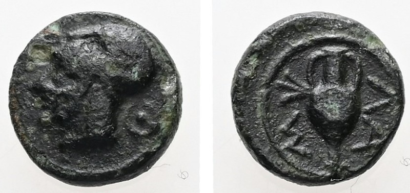 Mysia, Lampsakos. AE, 0.67 g. - 8.36 mm. 4th-3rd centuries BC.
Obv.: Helmeted he...