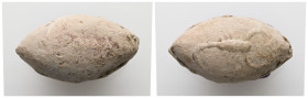 PB Greek sling bullet. Thrace (c. 4th–1st centuries BC)
Lead sling bullet is with an image of a scorpion on one side and with a name Sparodas (Σπαρῴδα...