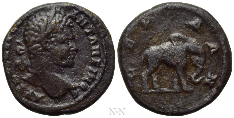 THRACE. Serdica. Caracalla (198-217). Ae. 

Obv: AVT K M AVP CEV ANTΩNEINOC. ...