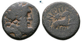 Seleucis and Pieria. Antioch. Pseudo-autonomous issue. Time of Augustus 27 BC-AD 14. 
Bronze Æ

20 mm, 8,21 g



Fine