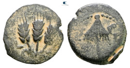 Judaea. Jerusalem. Herodians. Agrippa I AD 37-43. 
Prutah Æ

17 mm, 1,76 g



Good Fine